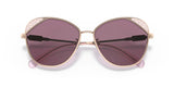 Coach L1167 HC7119 Sunglasses