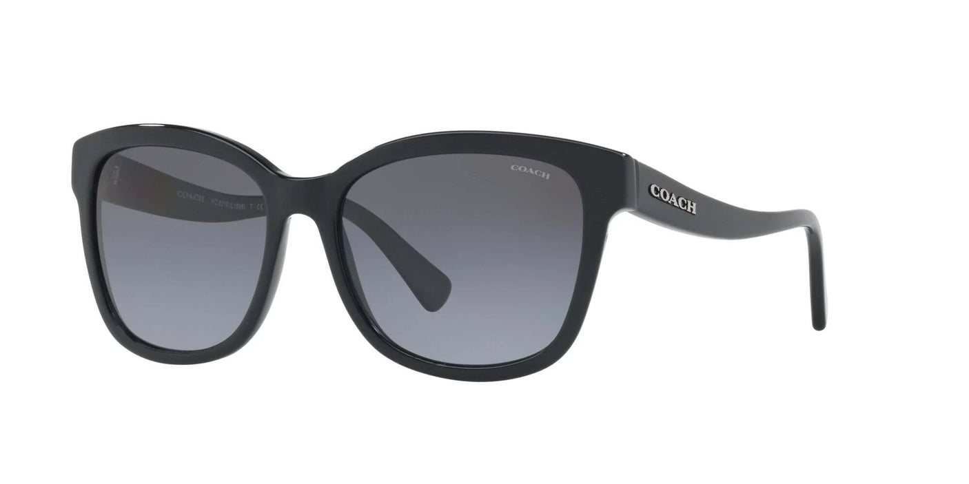 Coach L1656 HC8219 Sunglasses