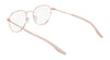Converse CV1019 Eyeglasses | Size 51 / Satin Silver