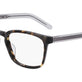 Slate Tokyo Tortoise