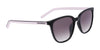 Converse CV528S ELEVATE Sunglasses | Size 52 / Black