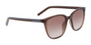 Converse CV528S ELEVATE Sunglasses | Size 52 / Black