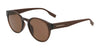 Converse CV509S MALDEN Sunglasses | Size 51 / Crystal Dark Root