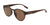 Converse CV509S MALDEN Sunglasses | Size 51 / Crystal Dark Root