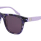 Smoke/Lilac Tortoise