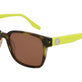 Cargo/Citron Tortoise