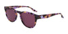 Converse CV560S ALL STAR Sunglasses | Size 51 / Lilac Tortoise