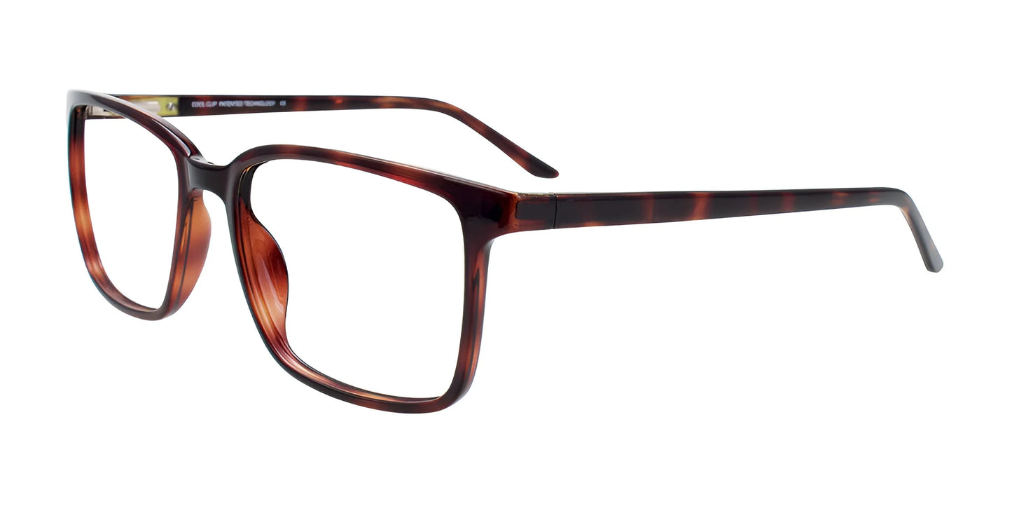 CoolClip CC848 Eyeglasses with Clip-on Sunglasses Dark Demi Amber