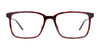 Coolclip CC848 Eyeglasses with Clip-on Sunglasses | Size 58 / Dark Demi Amber