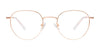 Coolclip CC856 Eyeglasses with Clip-on Sunglasses | Size 48 / Brown & Gold