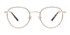 Coolclip CC856 Eyeglasses with Clip-on Sunglasses | Size 48 / Brown & Gold