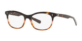 Costa MRA110 6S1005 Eyeglasses Tortoise Sunrise