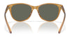Costa CATHERINE 6S2012 Sunglasses | Size 57 / Tortoise / Copper (Polarized) (3P 12%) №201201