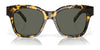Costa NUSA 6S2016 Sunglasses | Size 54 / Black / Rose Gradient (Polarized) (3P 14.81%) №201601