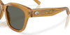 Costa NUSA 6S2016 Sunglasses | Size 54 / Black / Rose Gradient (Polarized) (3P 14.81%) №201601