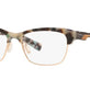Shiny Seafoam Tortoise №800303