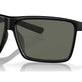 Gray (Polarized) (3P 10%) №901841