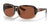 Costa GANNET 6S9041 Sunglasses | Size 58 / Shiny Tortoise Fade