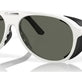 Gray (Polarized) (3P 10%) №911708