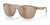 Costa CORRIENTES 6S9124 Sunglasses | Size 57 / Taupe