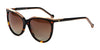 Di Valdi DV0157 Sunglasses | Size 55 / Brown