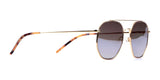 Di Valdi DV0165 Sunglasses Brown