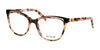 Di Valdi DVO8107 Eyeglasses | Size 54 / Brown/Gold