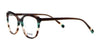 Di Valdi DVO8255 Eyeglasses | Size 53 / Brown