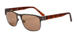 Di Valdi DV0041 Sunglasses Color №020