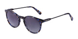 Di Valdi DV0062 Sunglasses Color №050