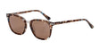 Di Valdi MICHELE DV0097 Sunglasses Color №010