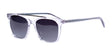 Di Valdi DV0105 Sunglasses Color №070