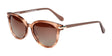 Di Valdi DV0109 Sunglasses Color №010