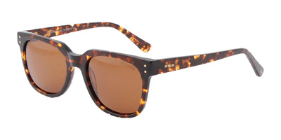 Di Valdi DV0141 Sunglasses | Size 52