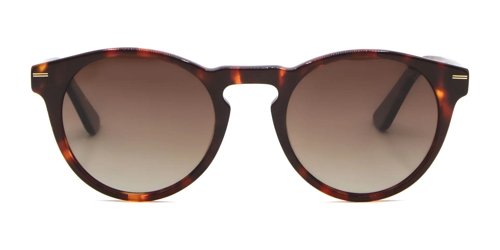 Di Valdi DV0191 Sunglasses | Size 51