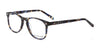 Di Valdi DVO8027 Eyeglasses | Size 50 / Color №050