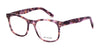 Di Valdi DVO8083 Eyeglasses | Size 51 / Color №080