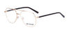 Di Valdi DVO8093 Eyeglasses | Size 56 / Color №015