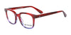 Di Valdi DVO8101 Eyeglasses | Size 47 / Color №050