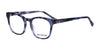 Di Valdi DVO8110 Eyeglasses | Size 49 / Color №050