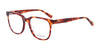 Di Valdi DVO8141 Eyeglasses | Size 52 / Color №010