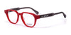 Di Valdi DVO8289 Eyeglasses | Size 50 / Color №030