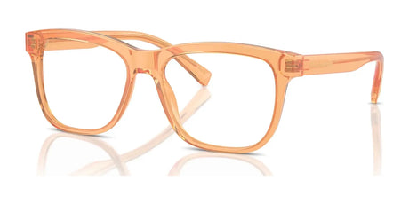 Dolce&Gabbana DX3356 Eyeglasses