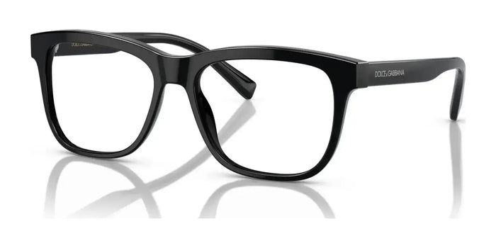 Dolce&Gabbana DX3356 Eyeglasses / Black №501 / Size 49