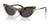 Dolce&Gabbana DX4008 Sunglasses | Size 44 / Leo Brown On Black