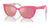Dolce&Gabbana DX4427 Sunglasses | Size 49 / Pink On Pink Flowers