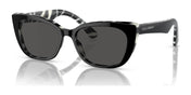 Dolce&Gabbana DX4427 Sunglasses | Size 49 / Black On Zebra / Dark Grey (3N 10%) №337287