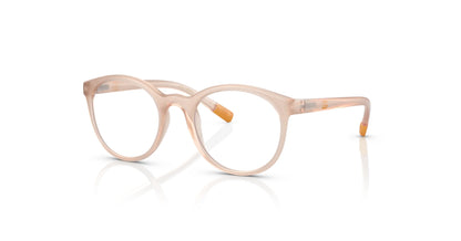 Dolce&Gabbana DX5095 Eyeglasses Opal Rose