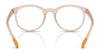 Dolce&Gabbana DX5095 Eyeglasses / Black №501 / Size 48