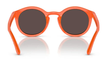 Dolce&Gabbana DX6002 Sunglasses | Size 45
